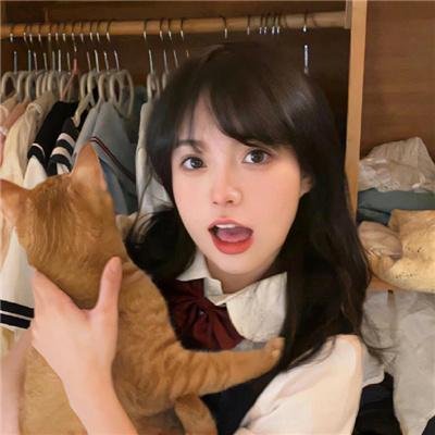 恶虎城